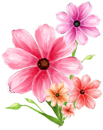 Hand Drawn Flower Pink Graphic Psd