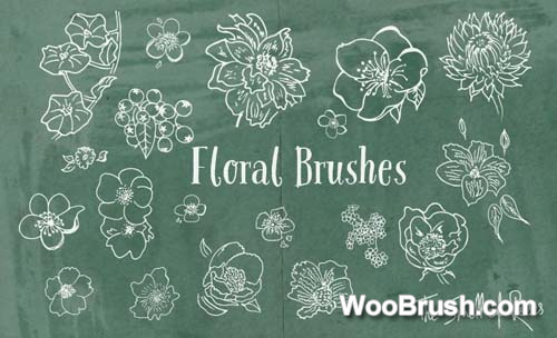 Hand Drawn Floral Brushes