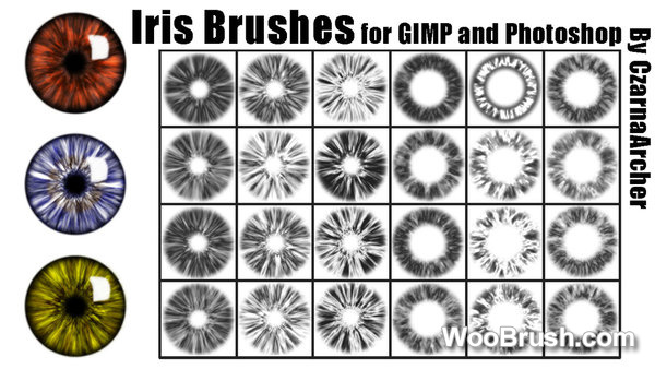 Iris Brushes