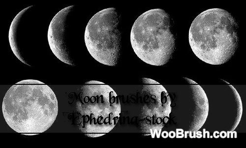 Moon Brushes Set
