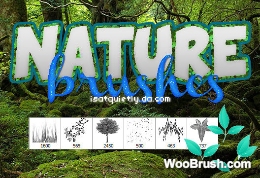 Nature Brushes