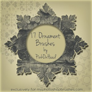 Ornament By Pinkonhead Brushes