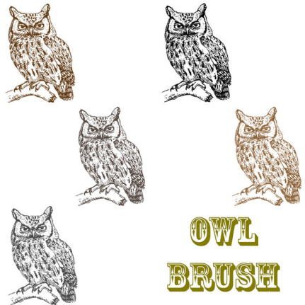 Owl Brushes
