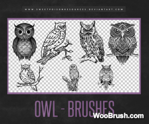 Owl Brushes