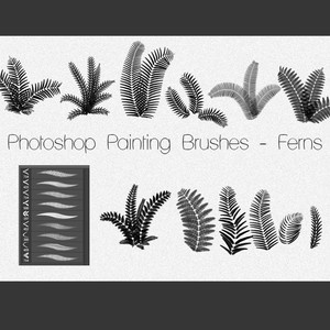 Painting Ferns Brushes