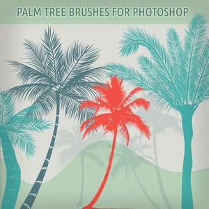 Palm Trees For Brushes