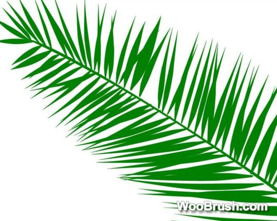Palm Leaves Brushes