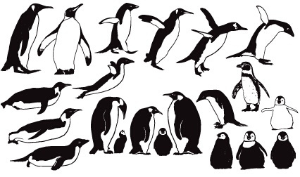 Penguin Cute Vector And Shapes