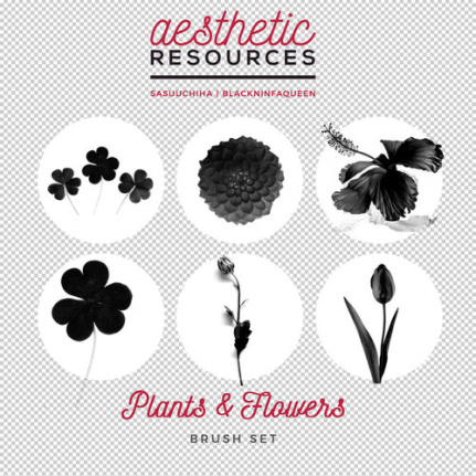 Plants And Flowers Brushes