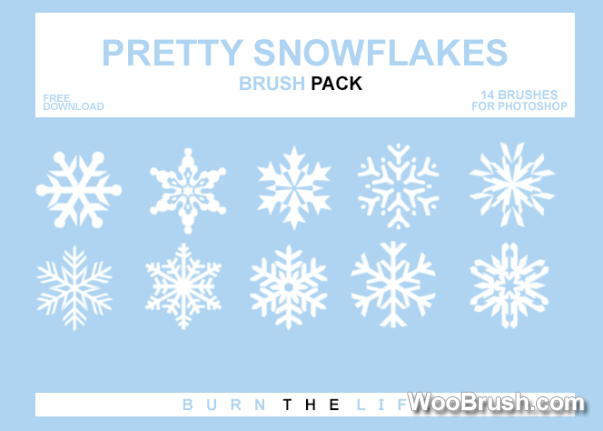 Pretty Snowflakes Brushes