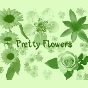 Pretty Flowers Brushes