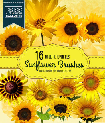 Realistic Sunflower Brushes