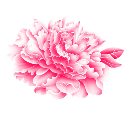 Realistic Pink Flower Graphics Psd