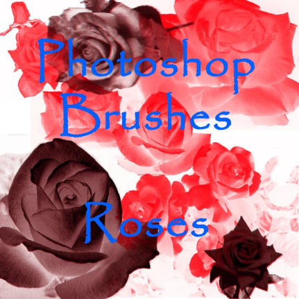 Rose Brushes