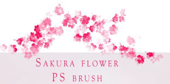 Sakura Flower Brushes