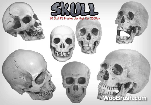 Skull Brushes Set
