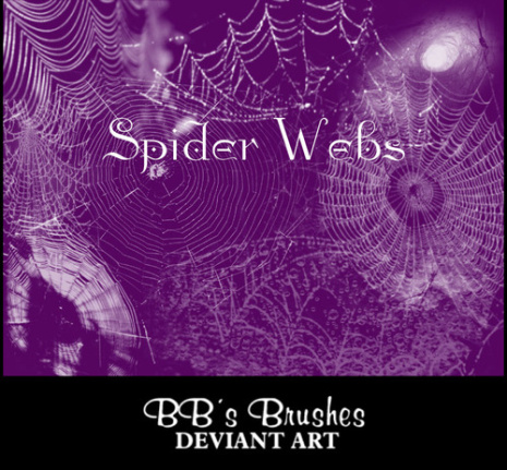 Spider Webs Brushes