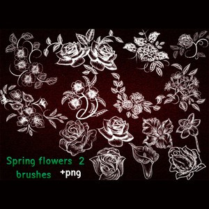 2024 Spring Flowers Brushes