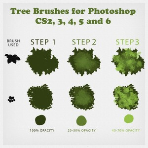 Tree Tutorial And Brushes