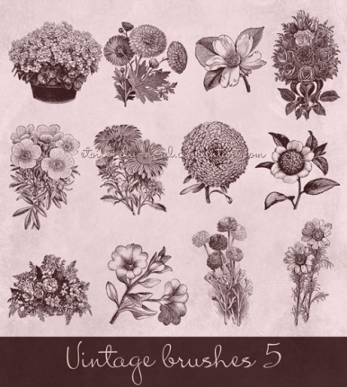 Various Vintage Flowers Brushes