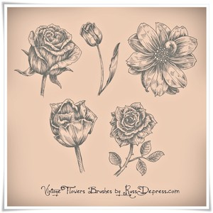 Vintage Flowers High Res Brushes