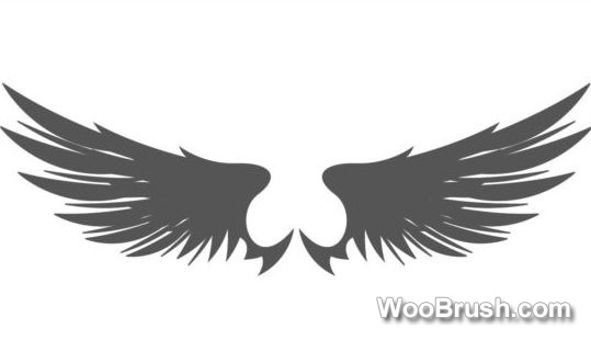 Wings Brushes