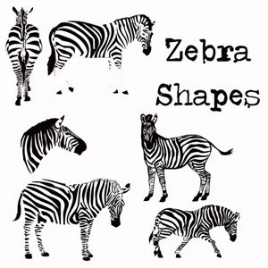 Zebra Shapes